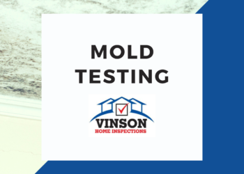 Vinson Home Inspection Services Mold Testing