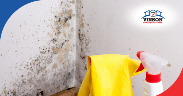 Vinson Home Inspections (17) Black and yellow mold growth in a corner with cleaning supplies ready for mold removal.